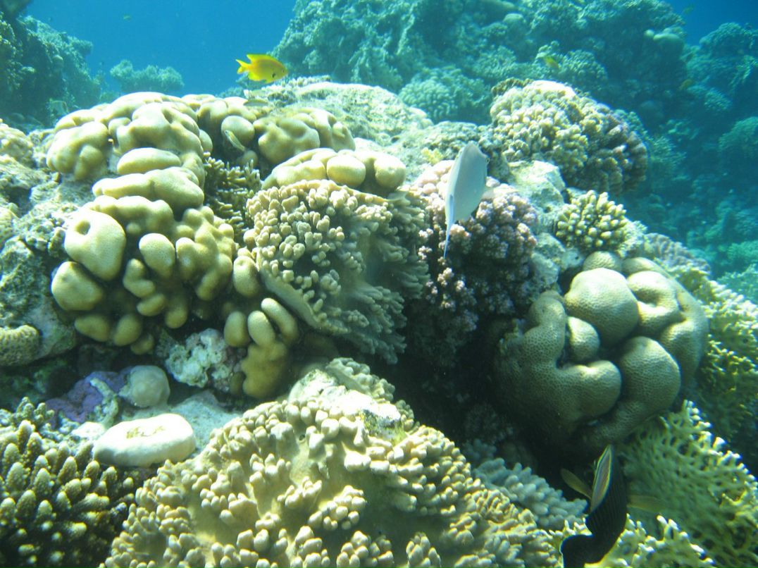 Надежда Кропачева | Киров