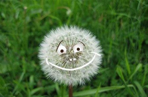 Артем Прокофьев | Екатеринбург