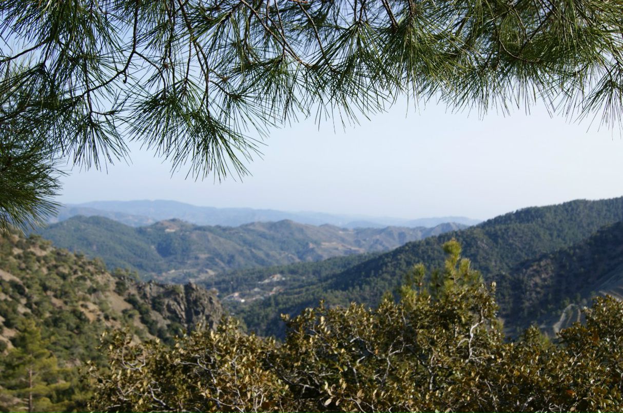 Анатолий Зырянов | Москва