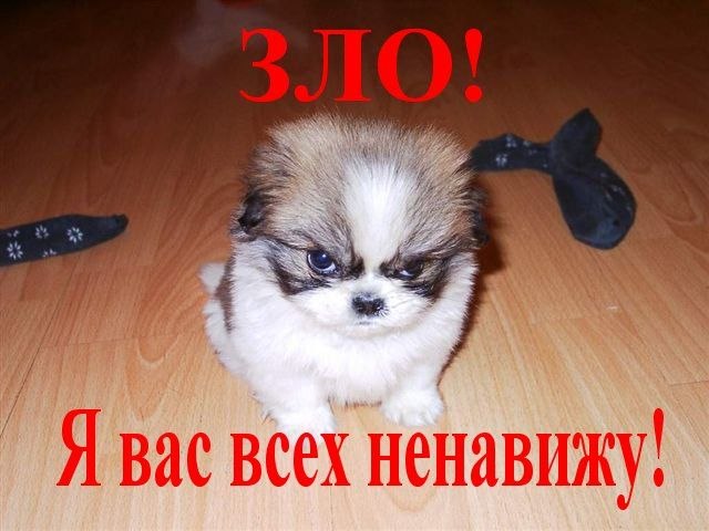 Виктор Анисимов | Башово