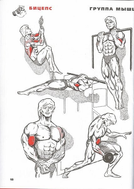 Иван Ургантович AnGrY^$eqr1T | Херсон