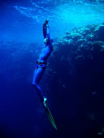 Даша Терра | 