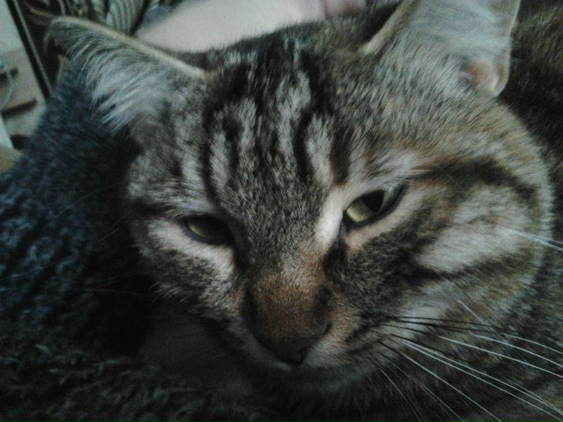 Андрей Яланский Lixe | Херсон