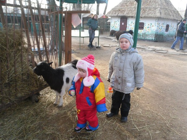 №5, Люда Байрак №5, Люда Байрак