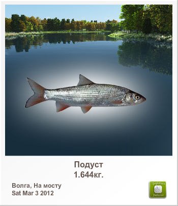 Александр Силин | Великие Луки