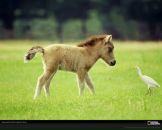 №16, Станислав Сергеев, 22.3.2002, 24 года, Челябинск, Россия