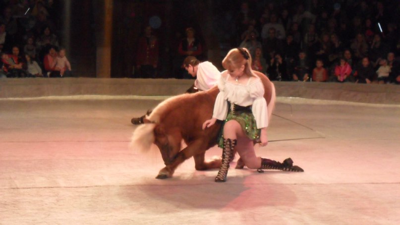 Наталья Кашич Лесник | Киев