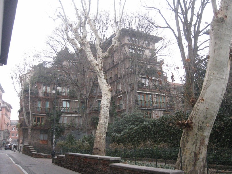 Наталья Арапина | Санкт-Петербург