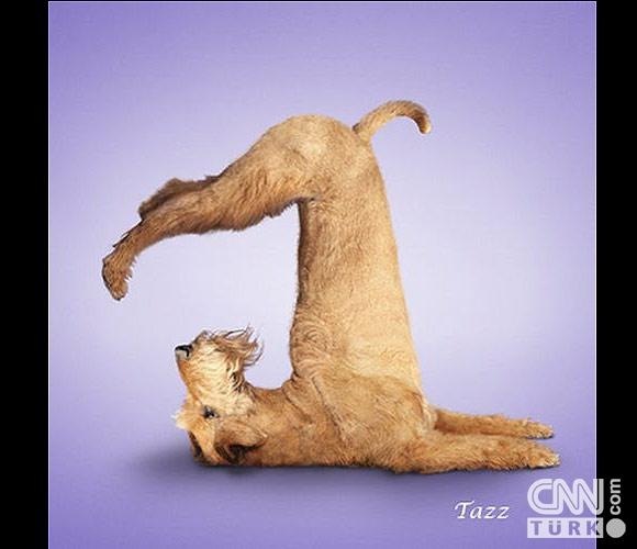 №82, Анастасия Бычкова, Санкт-Петербург, Россия №82, Анастасия Бычкова, Санкт-Петербург, Россия