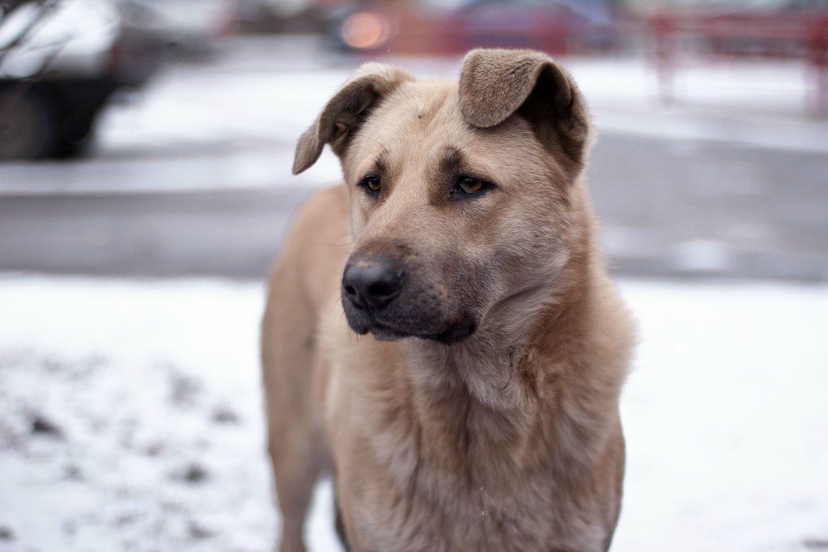 Юлиана Кулай | Санкт-Петербург