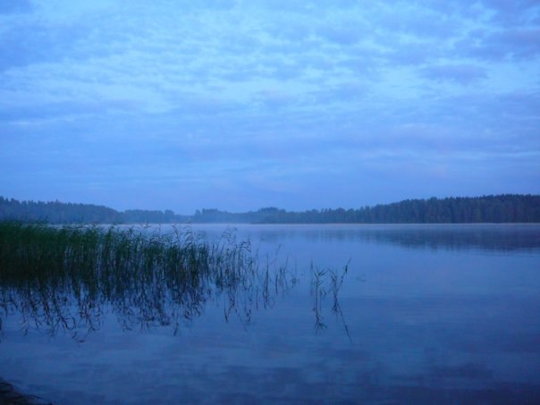 Катя Сенатская | Выборг