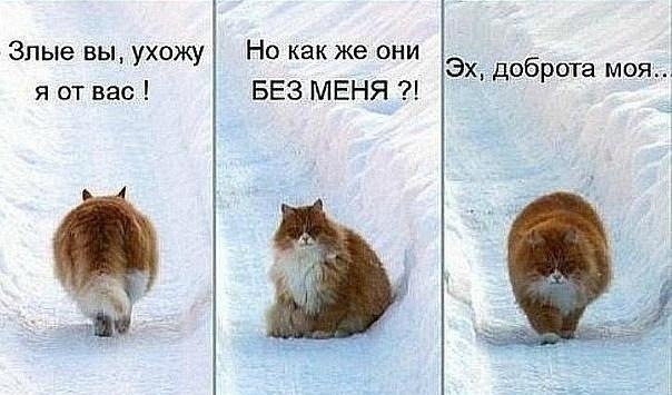 №5, Ольга Черкесова-Нехорошкова, 118 лет, Мончегорск №5, Ольга Черкесова-Нехорошкова, 118 лет, Мончегорск