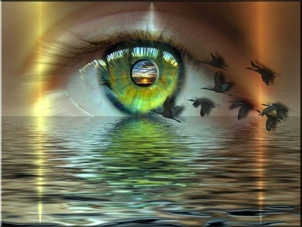 Елена Сергеева | Санкт-Петербург