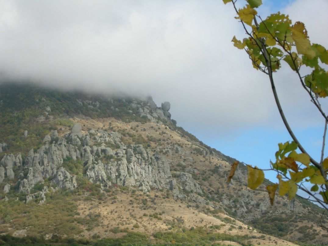 Любовь Думанская | Одесса