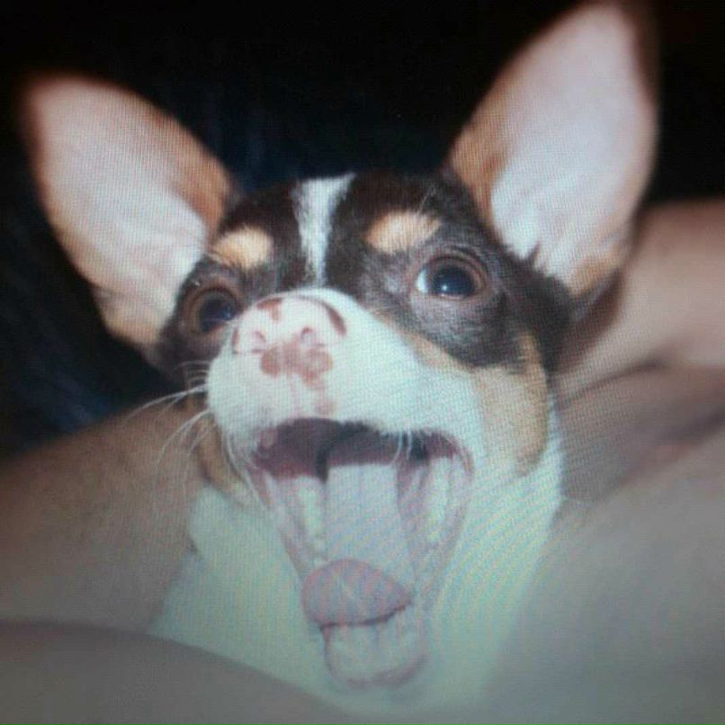 Виктория Жалнина | Сочи