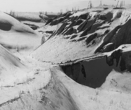 Николай Добычин | Сочи