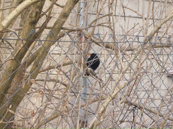 №161, Ирина Попова, 39 лет, Вентспилс, Латвия №161, Ирина Попова, 39 лет, Вентспилс, Латвия