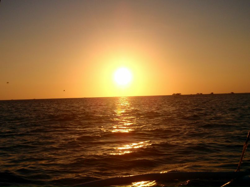 Александр Шамов | Архангельск