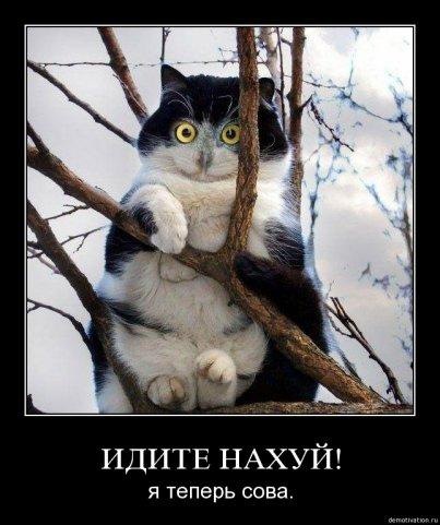 №113, Сергей Белов, 47 лет, Санкт-Петербург №113, Сергей Белов, 47 лет, Санкт-Петербург