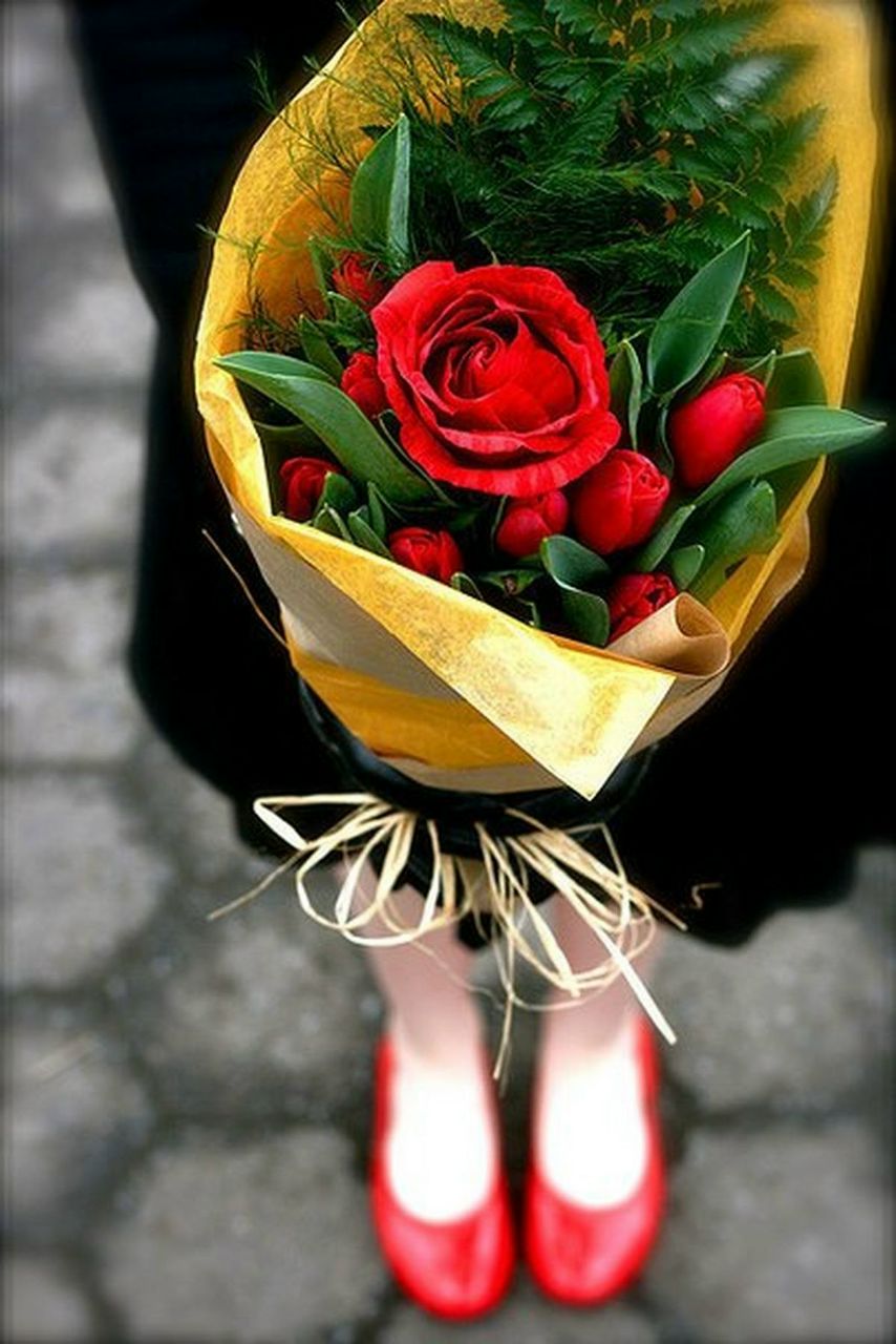 Дзвінка Світла ★ Your Last Hope ✩ | Киев