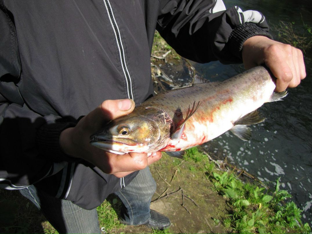 Владимир Безелюк Юрьевич | Петропавловск-Камчатский