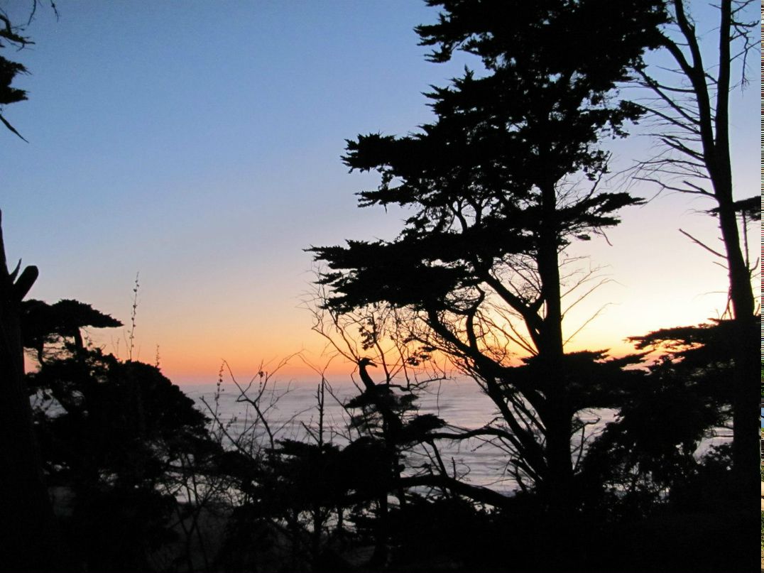 Людмилка Асеева | San Francisco