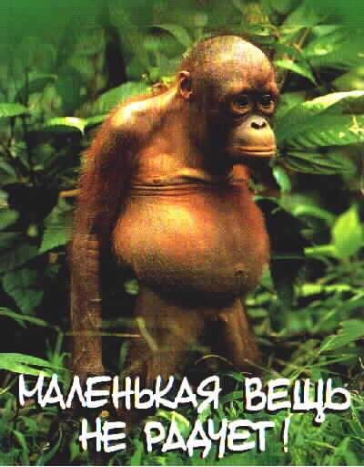 Максим Мышленник Зыгмундавич | Минск