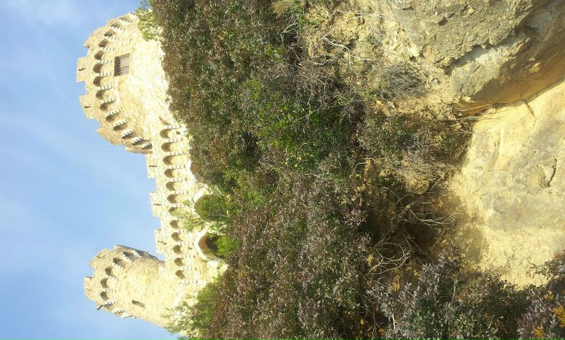 Andrey Пшеничный Viktorovich | Москва