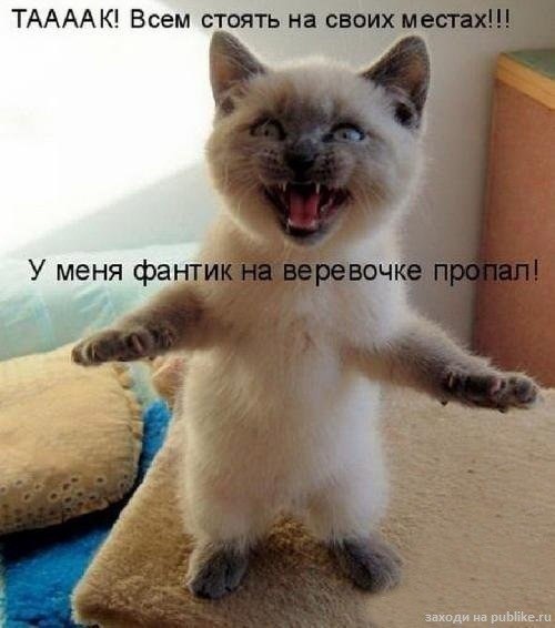 Василий Абрамов Лир Де Виль | Ростов-на-Дону