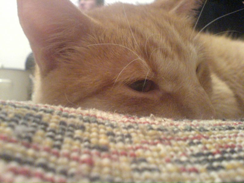 №80, Ольга Боднарчук, Киев №80, Ольга Боднарчук, Киев