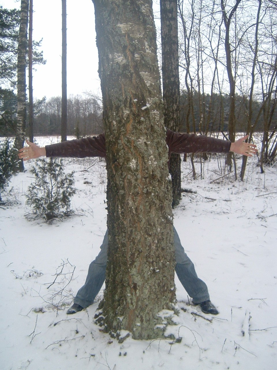 Александр Лойша Сергеевич | Скидель