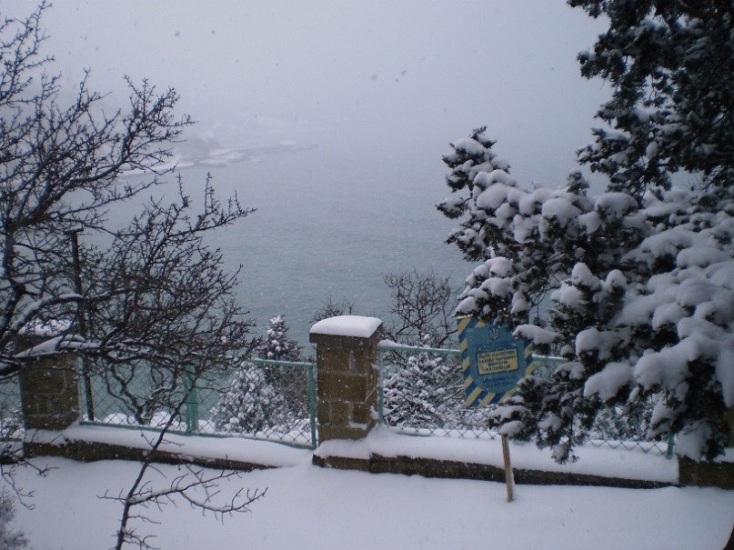 Татьяна Лыткина Викторовна | Йошкар-Ола