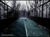 №29 Володимир Карнаух 02.11.1987: профиль, фото, статус - ВКонтакте