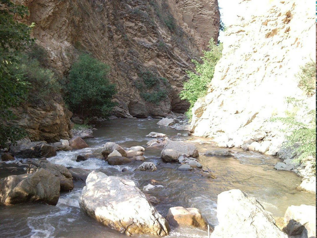 Алаудин Пирмагомедов | Москва