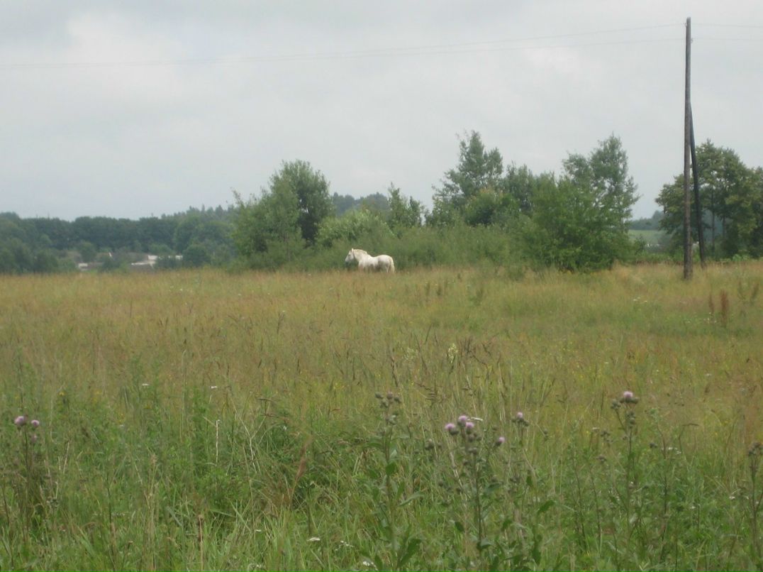 Егор Макаренков Ice B || Mike Ego | Минск