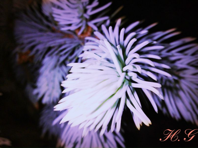 Ленчик Влюбленная | Одесса