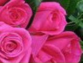 Алёнка Ковалёва | Днепр (Днепропетровск)