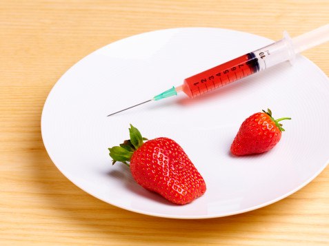 Ольга Кузнецова | Петрозаводск