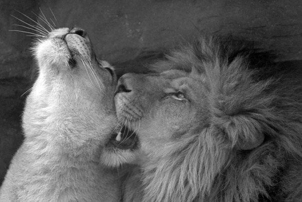 Ник Чудо | Харьков