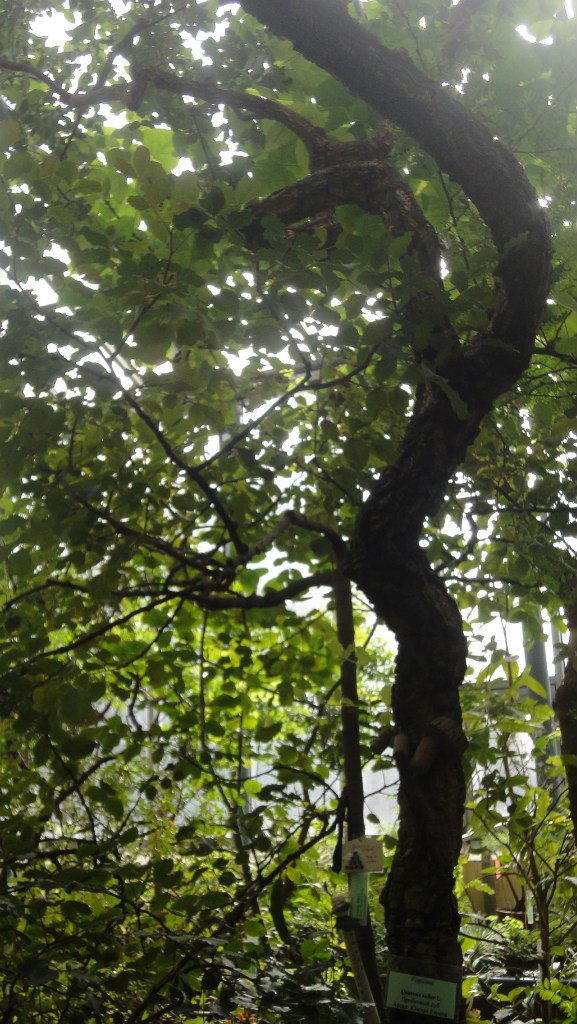 Юля Машкова | Волжский