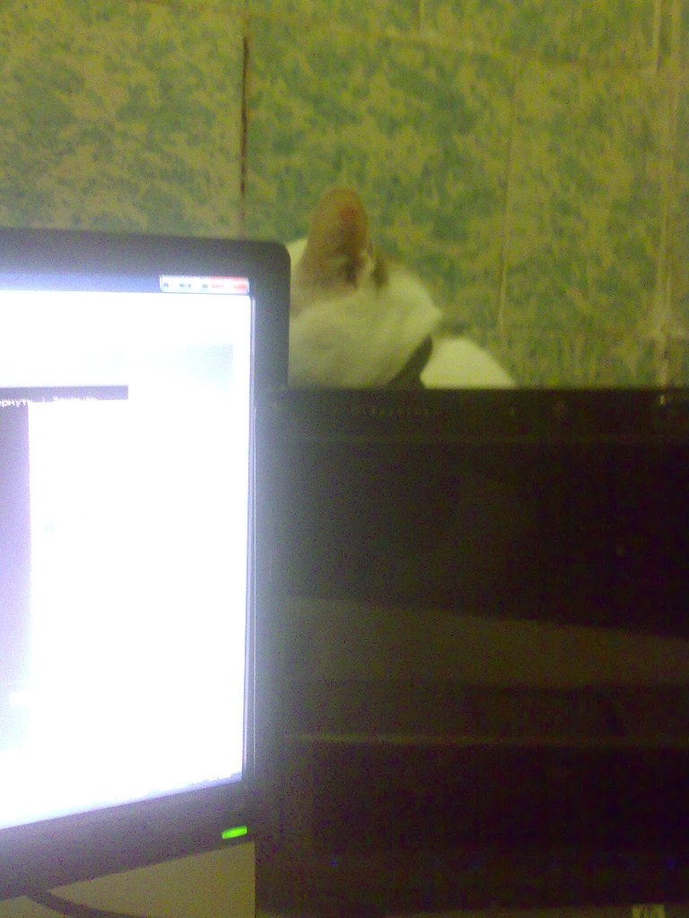 Тарлан Миркамиров Миркамирович | Санкт-Петербург