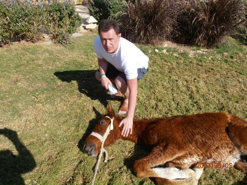 Михаил Софичев | Дзержинск