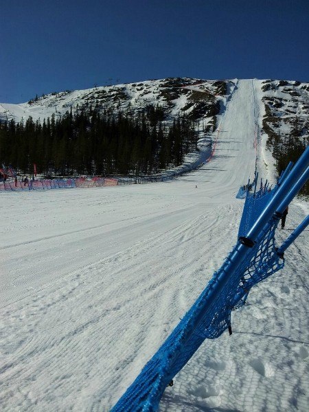 Николай Пимкин | Санкт-Петербург