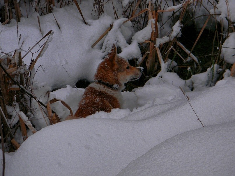 Sasha Goncharuk | Madrid