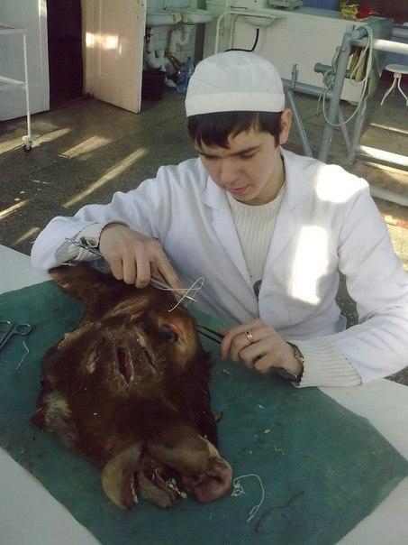 Миколка Сиротенко | Miami