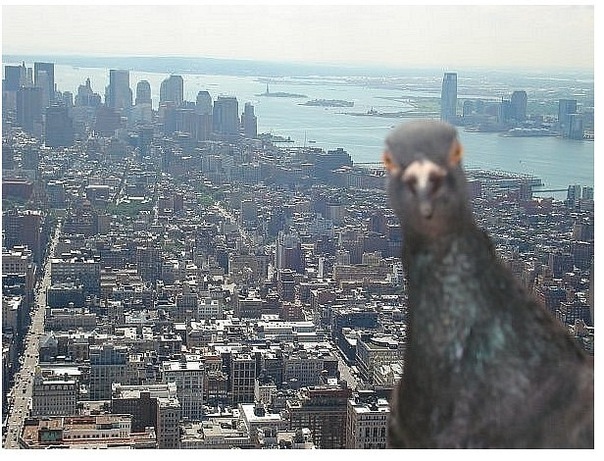 №8, Костя Глонти, Донецк №8, Костя Глонти, Донецк