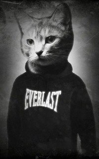 Паша Гасанов | 