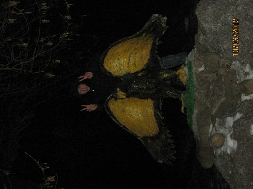 Колян Таранюк | Краснодар