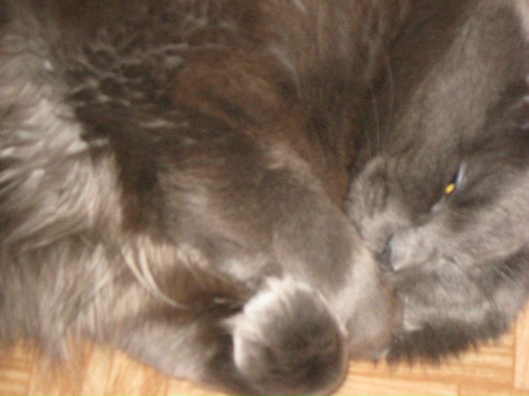 Игорь Колецкий | Санкт-Петербург