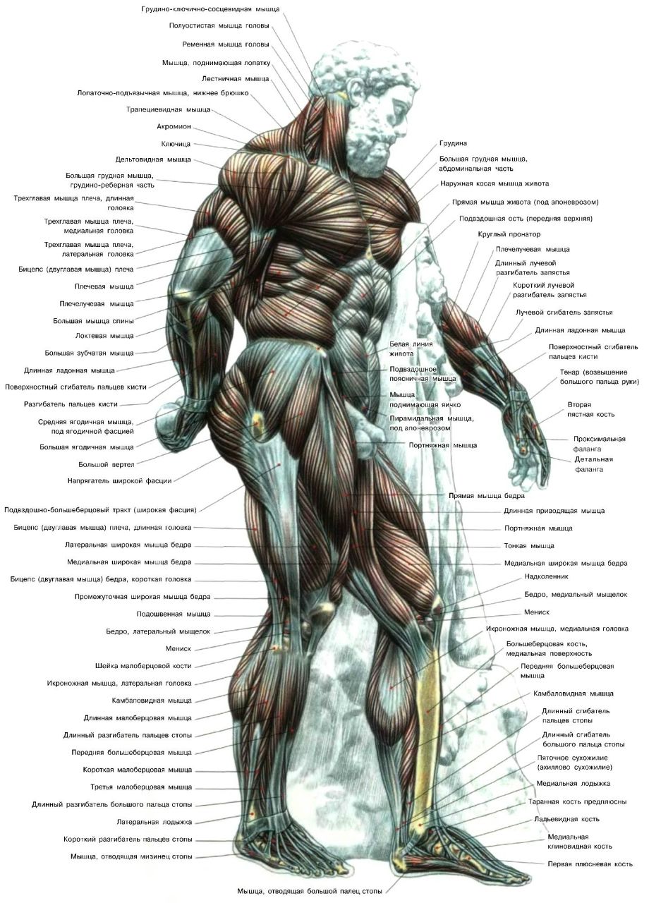 Артем Сычев | Серпухов